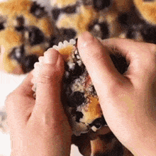 If I tell you, I wanna share my muffin with you, will you let me?
