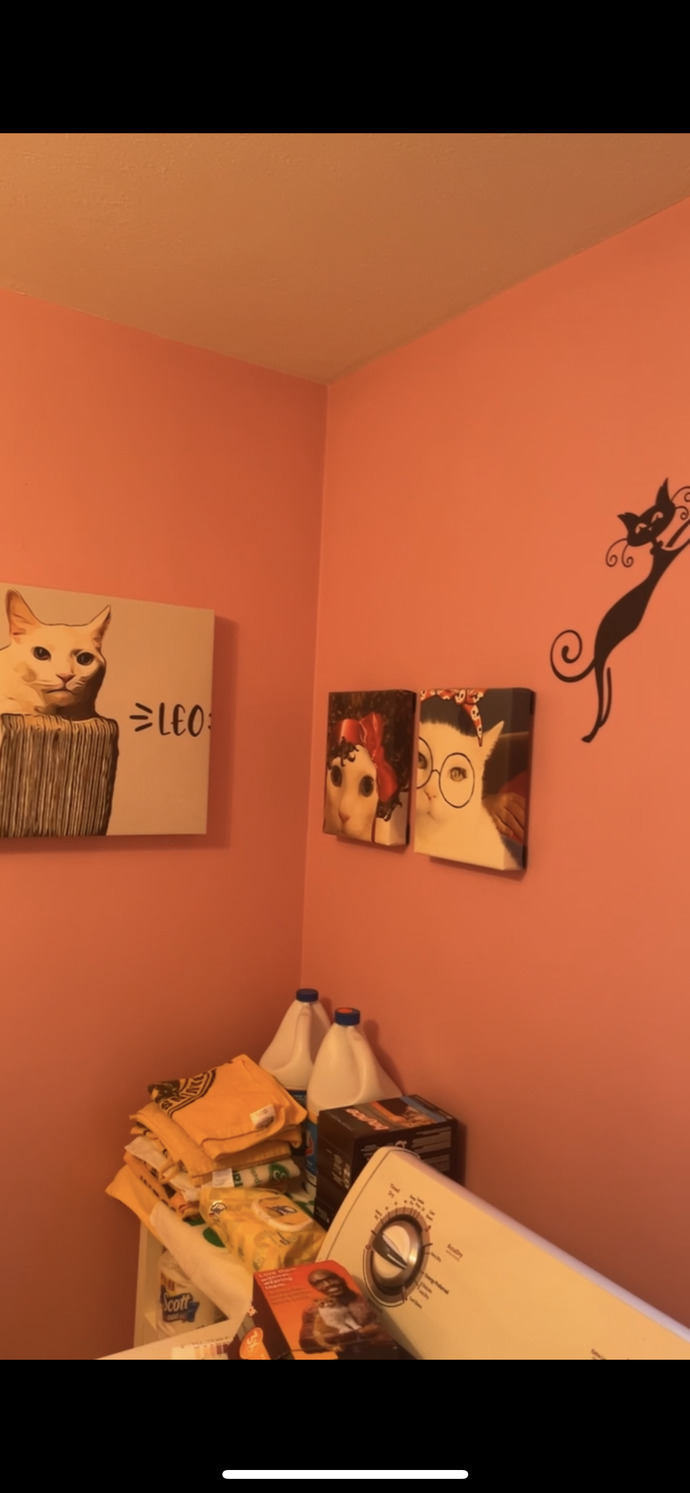 What is the funny or weird thing you've ever seen in another person's house?