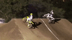 Race