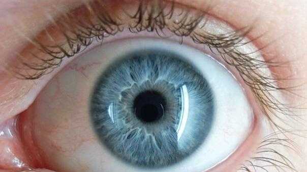 What color are your eyes?