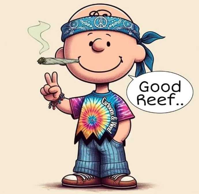 Is it okay to use weed 1-2 times a week at age 19?