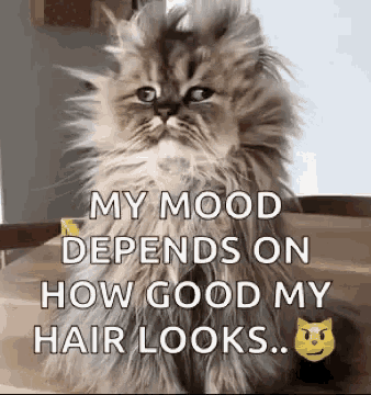 Whats your current mood?