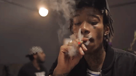 Is it healthy to smoke a pound a day?