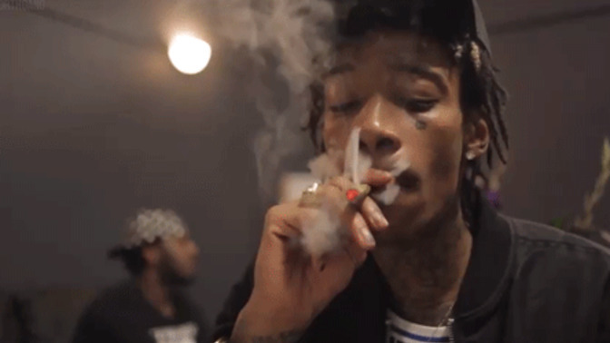 Is it healthy to smoke a pound a day?