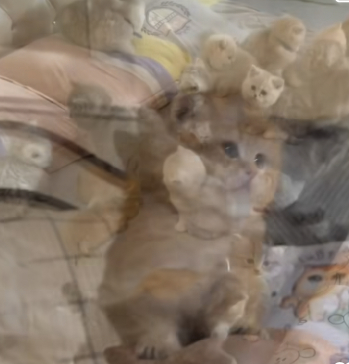 Can you make a backstory about this photo?