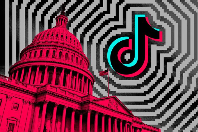 Are you prepared for Tik Tok being banned? Thoughts on this?