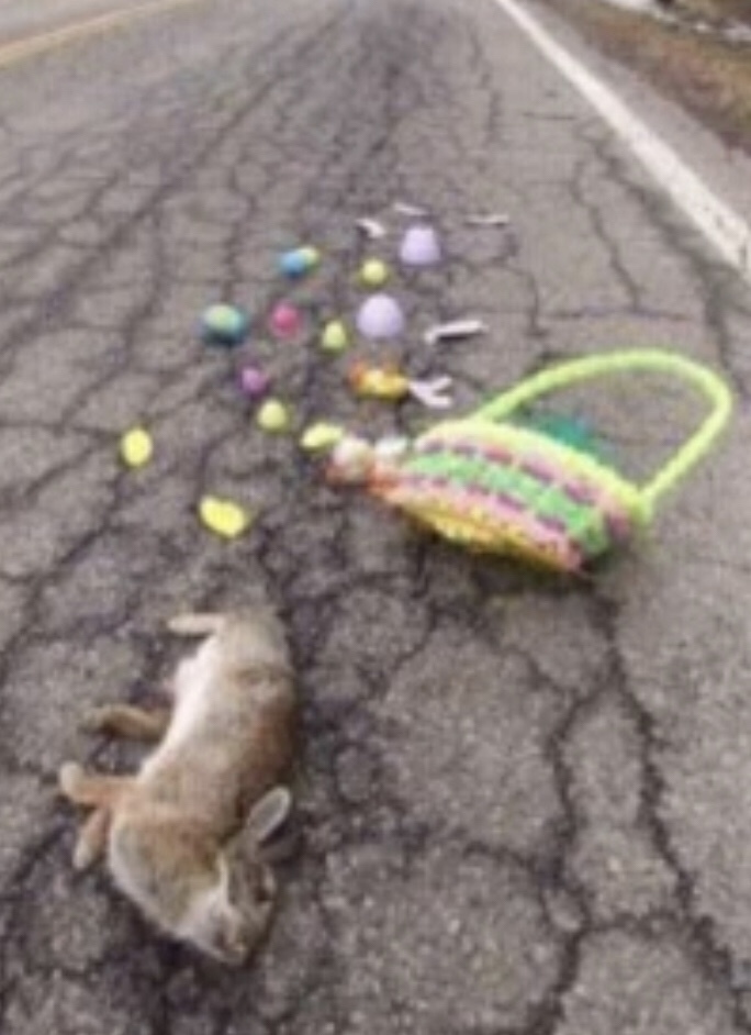 Happy Easter!