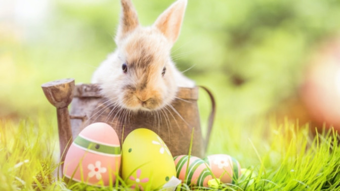 Do you celebrate Easter?