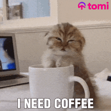 What's the one item you can't live without?