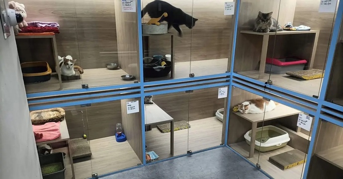 What is the longest duration that your cat has stayed in a boarding facility?
