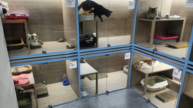 What is the longest duration that your cat has stayed in a boarding facility?