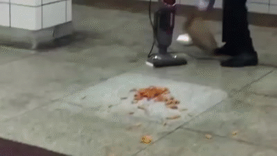 Do you eat coleslaw?