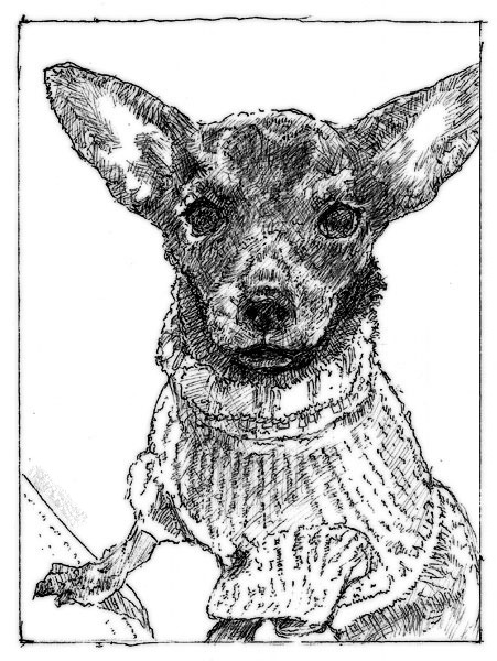 Quick ink sketch of my other dog.