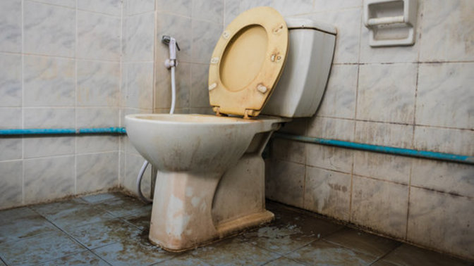 Women & Men, do you poo in public restrooms?