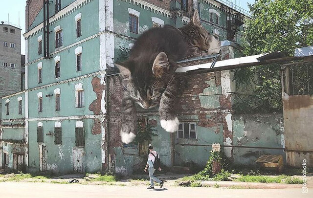 my cats would take care of it...