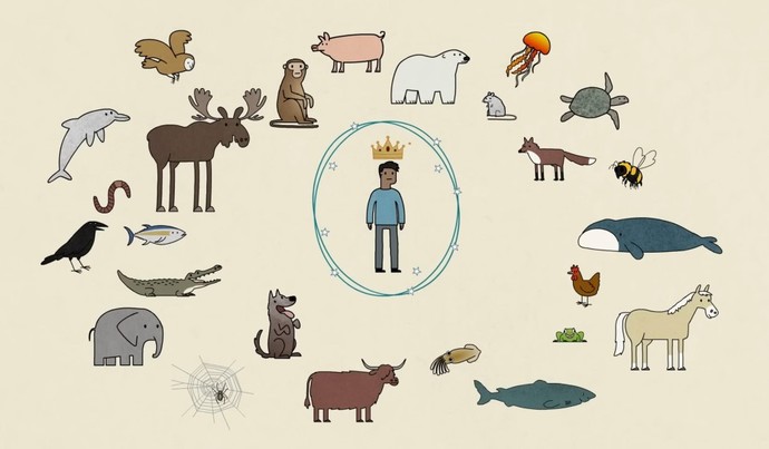 Do you believe humans are a greater existence than other animals? Why or why not?