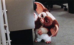 Are you a gremln? If so what makes you a little gremlin?