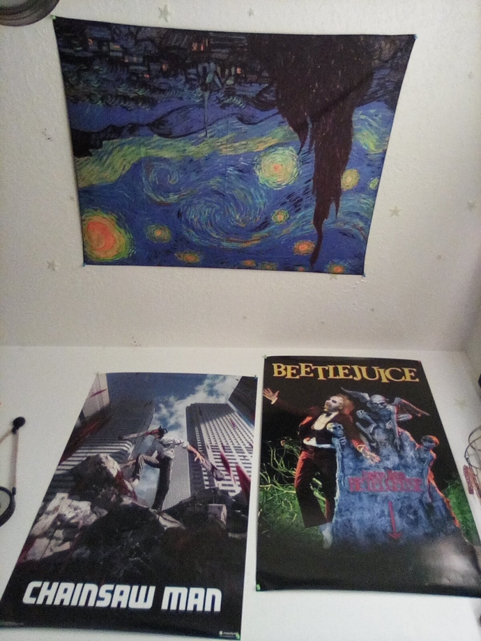 Do you like my posters\ tapestry?