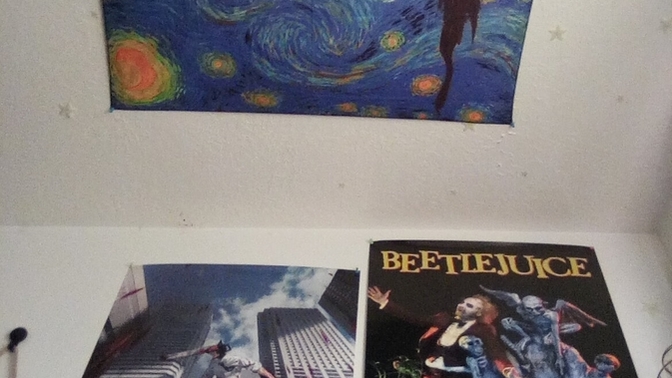 Do you like my posters\ tapestry?