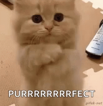 How long does it take you to get ready in the morning?