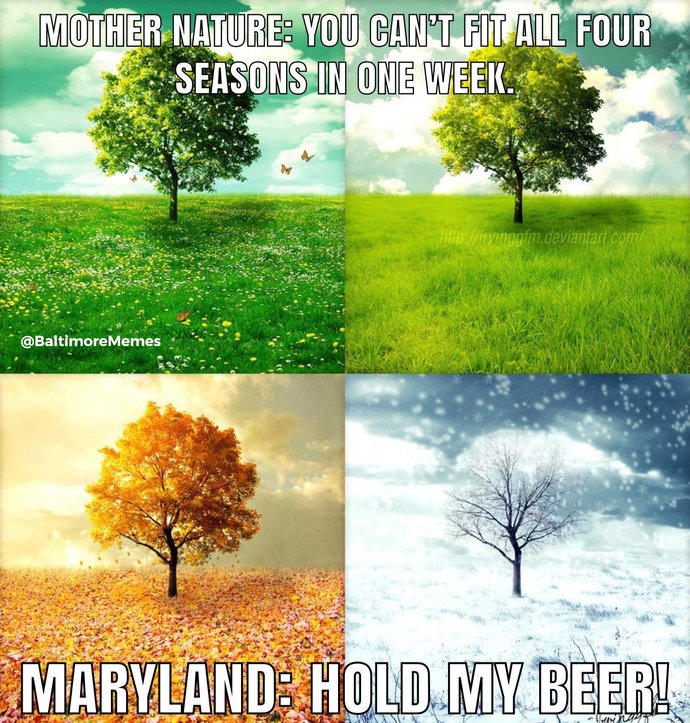 What do you think of the State of Maryland?