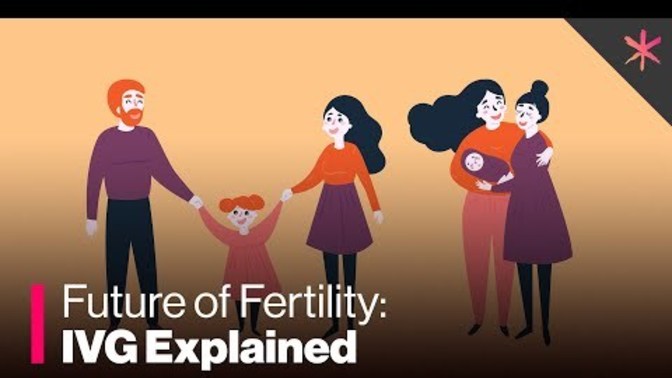 Would the world be a safer place if there were no men?