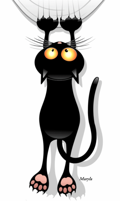 What do you keep under your bed?