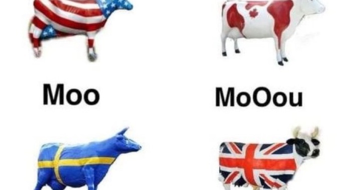 Did you know that cows have regional accents?