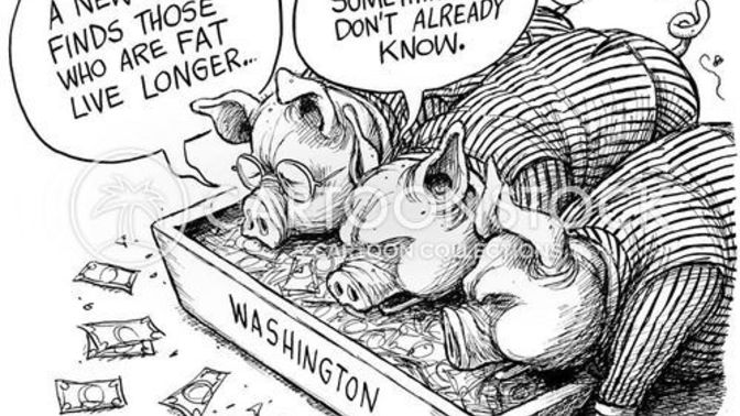 Would America continue to run just as well without politicians?