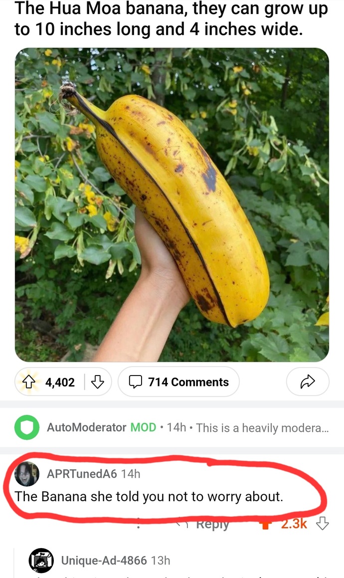 What does size queen mean?