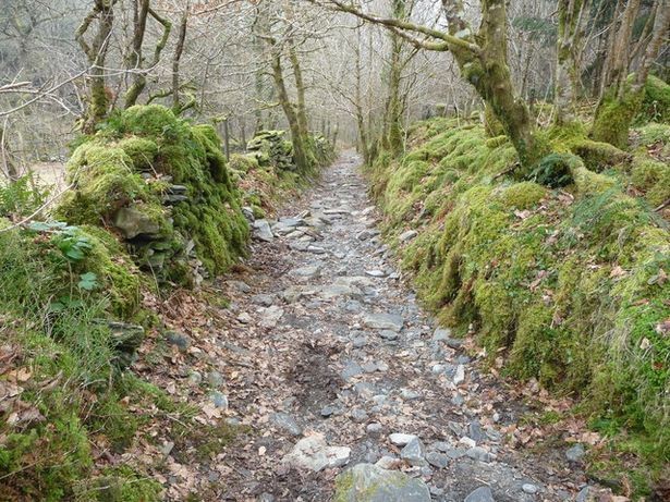 Have you ever walked an aincient trackway?