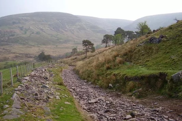 Have you ever walked an aincient trackway?