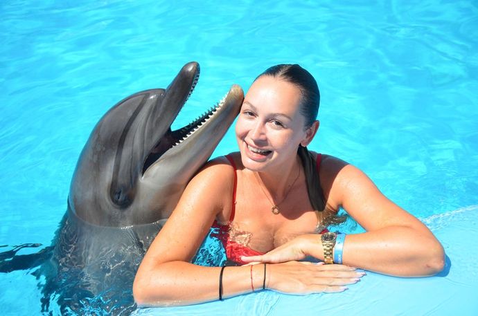 Are dolphins bullies?