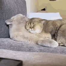 Are you a lazy person?