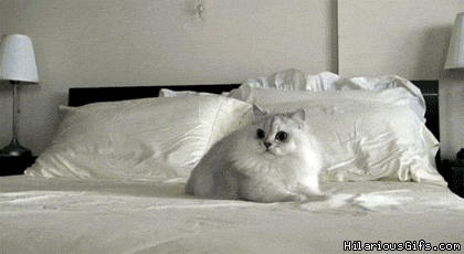 Are you a lazy person?