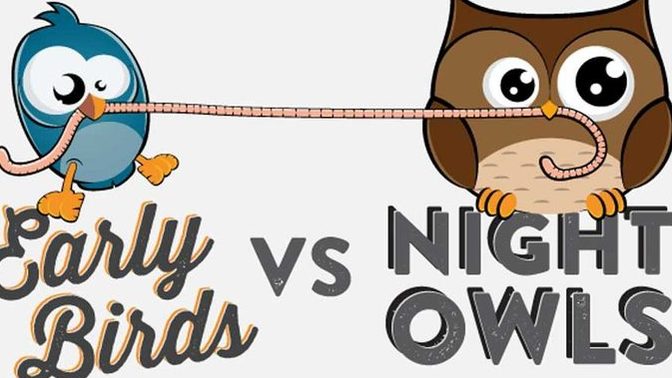 Are you more of an early bird or a night owl?