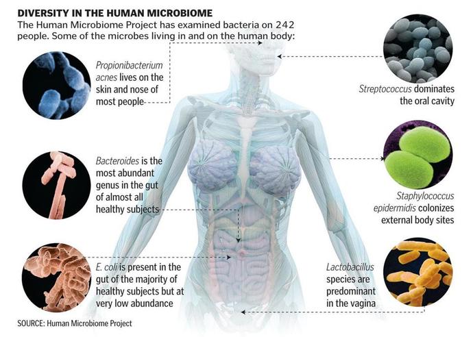 Do you ever take time to thank your bacteria?