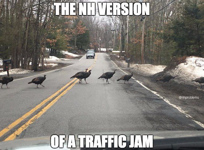 What do you think of the State of New Hampshire?