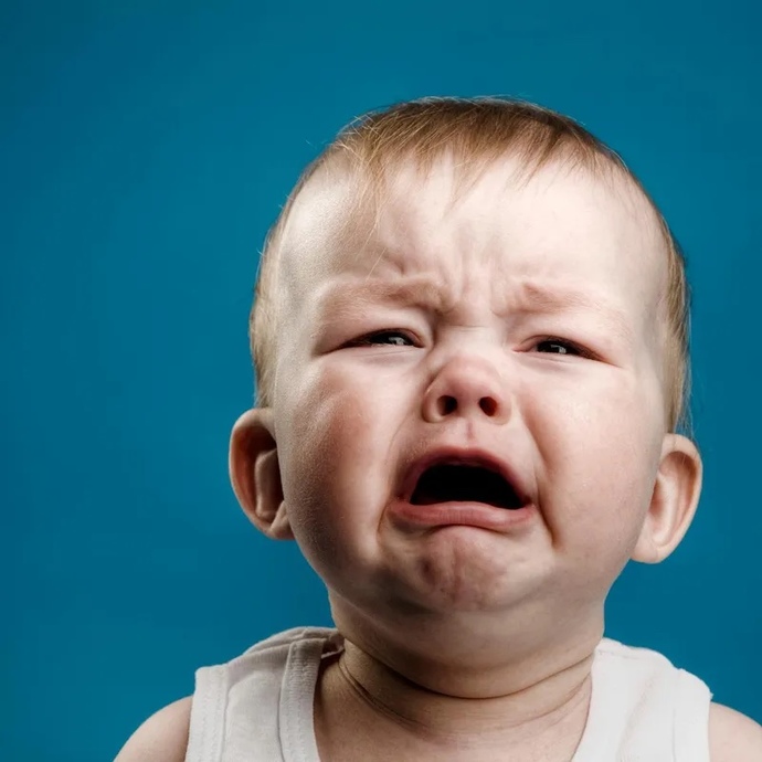 What do you find more annoying a crying baby or a buzzing fly you can’t kill?