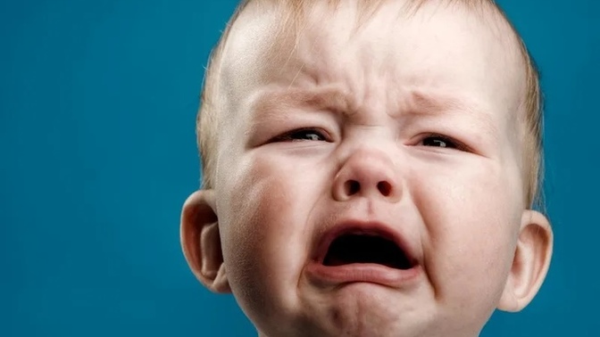 What do you find more annoying a crying baby or a buzzing fly you can’t kill?