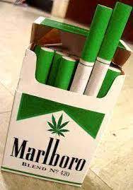 Is that real. Can you buy this in USA?