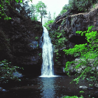 Which nature photo do you like better ?