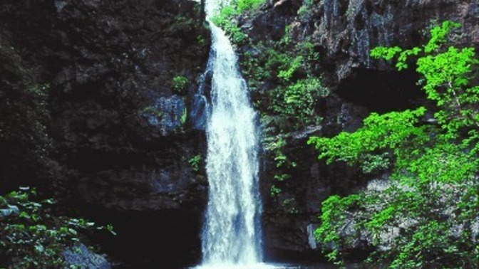 Which nature photo do you like better?