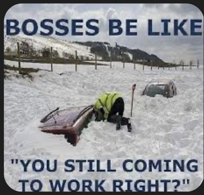 Uhhh yeah that’s a no!