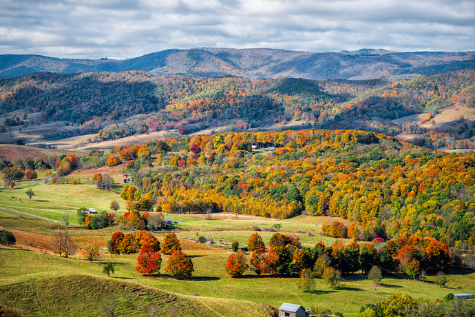 Virginia Countryside
