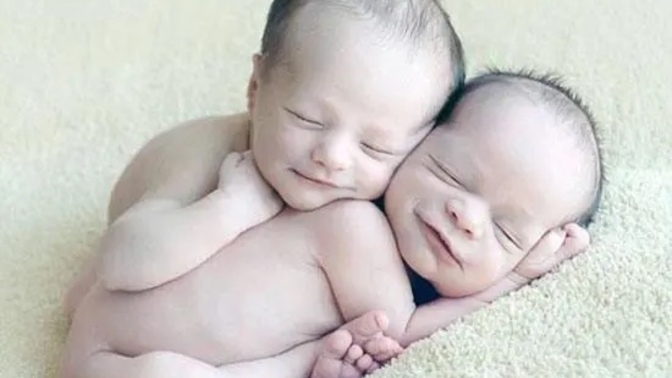 Agree or Disagree: Human cloning should be legalized?