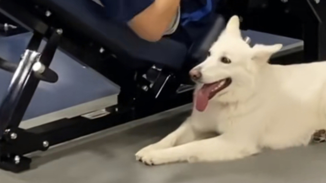 What would you do if you saw this at the gym?