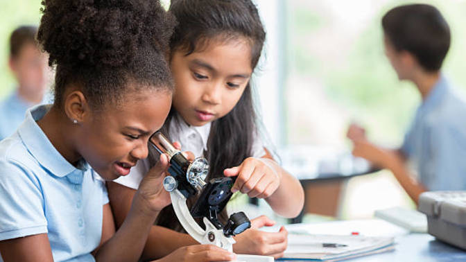 If you were rich, would you put your children in private school?