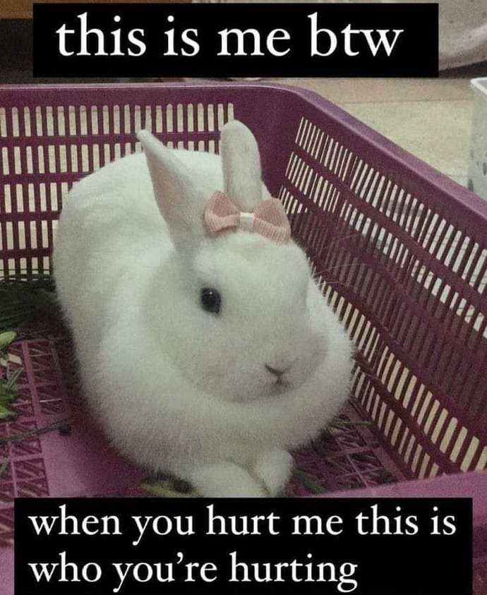 💕💕