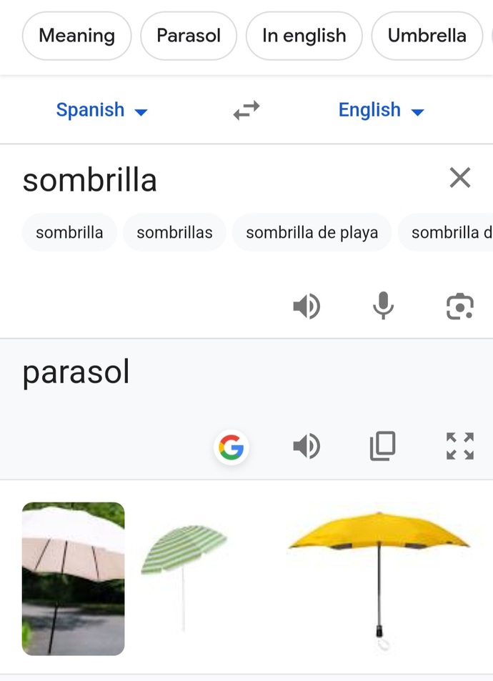 Am I going crazy, or was the Spanish word for "umbrella" officially